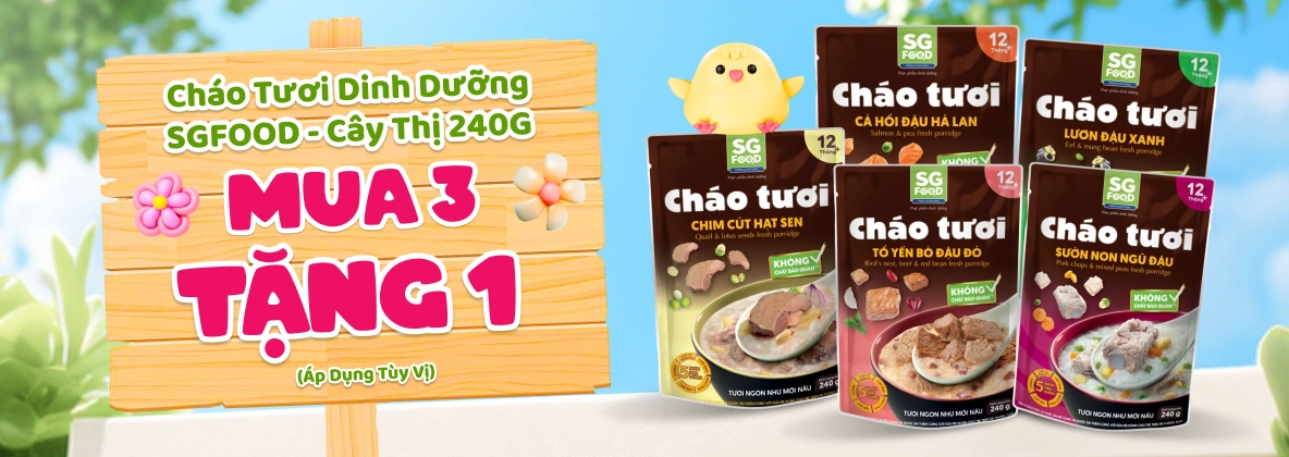 Cháo tươi dinh dưỡng SGFOOD 240G T9